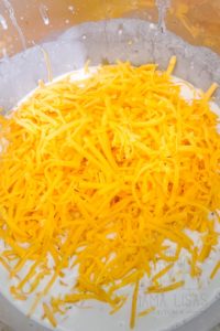 Fresh Grated Cheese